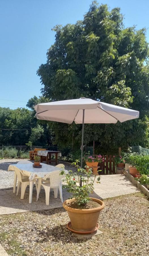 Appartamento Bellavista Castellina Marittima Dış mekan fotoğraf